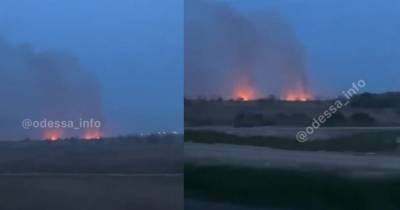 В Одессе вспыхнул масштабный пожар: что горит