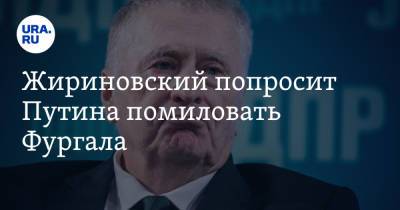 Жириновский попросит Путина помиловать Фургала