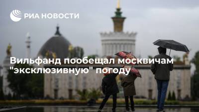 Вильфанд пообещал москвичам "эксклюзивную" погоду