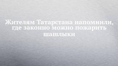 Жителям Татарстана напомнили, где законно можно пожарить шашлыки
