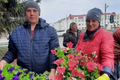 В Бондарском районе высадили почти 3000 цветов - tambov.mk.ru