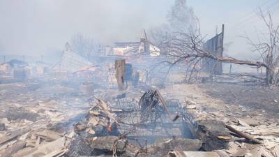 Жителей Курганской области просят сообщать о лесных пожарах в МЧС