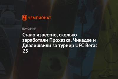 Стало известно, сколько заработали Прохазка, Чикадзе и Двалишвили за турнир UFC Вегас 25