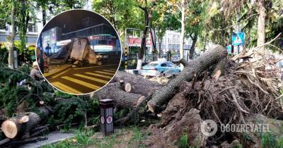 Ураган на востоке Китая убил 11 человек – видео