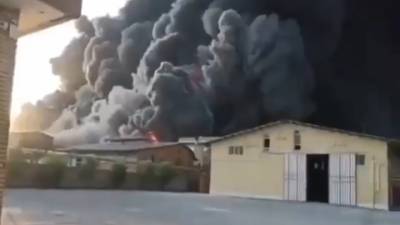 Очевидец запечатлел на видео мощный пожар на иранском химзаводе