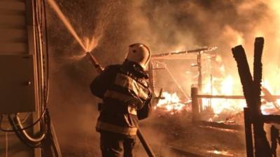 Девятилетний ребенок погиб на пожаре в Тосненском районе