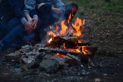 Саратовцам запретили жарить шашлыки в лесах