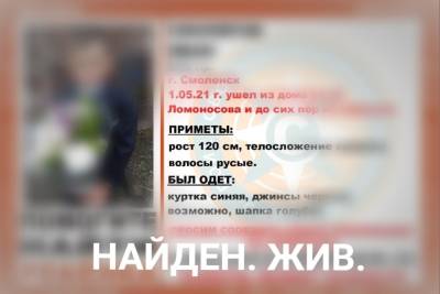 В Смоленске найден пропавший 9-летний мальчик