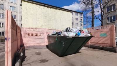 Жители России получат двойной штраф за выброс мусора в неположенном месте