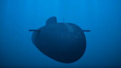 ВМФ РФ пополнят подводные беспилотники, сражающиеся в составе роя
