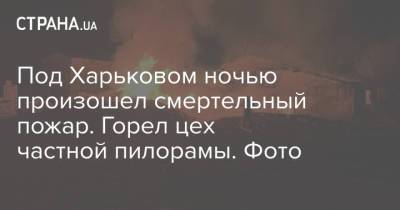Под Харьковом ночью произошел смертельный пожар. Горел цех частной пилорамы. Фото