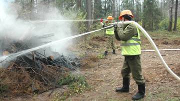Лесники призывают соблюдать правила пожарной безопасности на природе