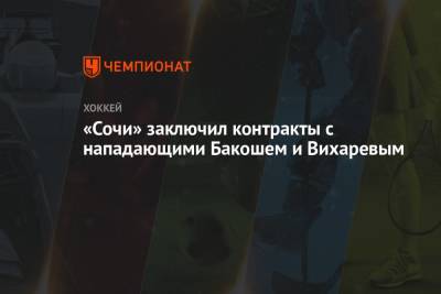 «Сочи» заключил контракты с нападающими Бакошем и Вихаревым