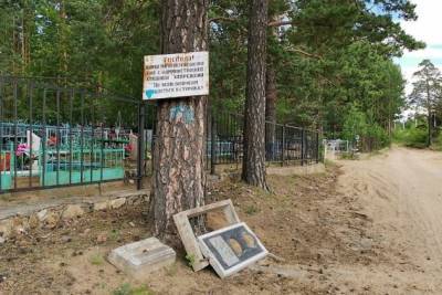 Сапожников: Часть кладбища и парков уже обработана от клещей