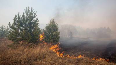В Крыму введен режим чрезвычайной пожарной опасности - МЧС