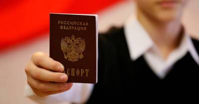 Гражданство РФ в упрощенном порядке получили почти 530 тысяч жителей Донбасса