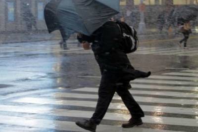 В Костромскую область идут дождь, гроза и штормовой ветер