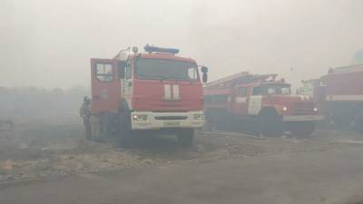 В Курганской области локализовали пожар в садовом кооперативе
