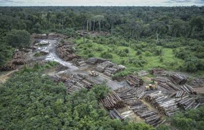 Легкие планеты под угрозой: правительство Бразилии уменьшило экологические штрафы для "мира и спокойствия"