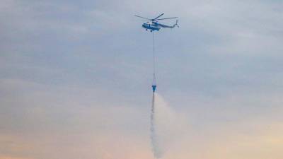 Вертолет МЧС потушил пожар в садовом товариществе под Курганом
