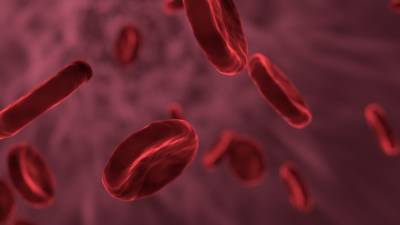 Обладатели второй группы крови могут быть более подвержены образованию тромбов
