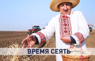 В Беларуси идут весенне-полевые работы. Зачем нужен контроль в сфере АПК и продовольственной безопасности?