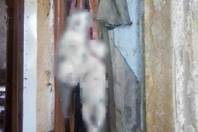 В заброшенном доме в Тверской области обнаружили трупы животных и мрачные символы на стенах