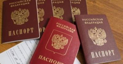 В РФ сообщили, сколько российских паспортов выдали в ОРДЛО и кому отказали в "паспортизации"