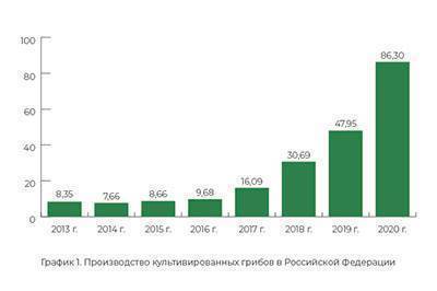 Рынок грибов в России и в мире