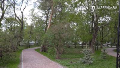 Ливень, гроза и град. Погода в Ульяновской области 20 мая