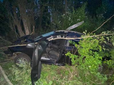 На М10 в Тверской области легковушка столкнулась с лосем: водитель получил травмы, а животное погибло