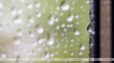Дождливый день – к долгому сентябрьскому теплу. Что еще нужно знать о 20 мая?