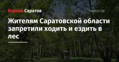 Жителям Саратовской области запретили ходить и ездить в лес