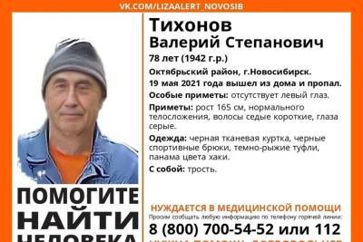 В Новосибирске пропал 78-летний пенсионер с тростью