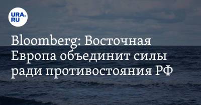 Bloomberg: Восточная Европа объединит силы ради противостояния РФ