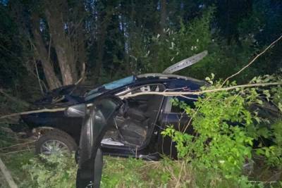 Автомобиль вылетел в кювет после столкновения с лосем в Тверской области