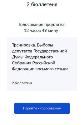 Корреспондент Sakh.com понарошку проголосовал на выборах в Госдуму