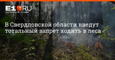 В Свердловской области введут тотальный запрет ходить в леса