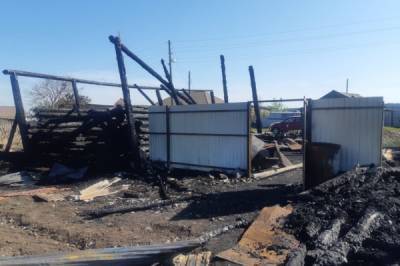 В Прикамье во время пожара погибла семья из пяти человек