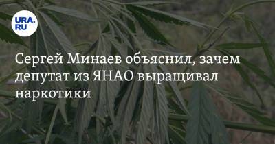 Сергей Минаев объяснил, зачем депутат из ЯНАО выращивал наркотики