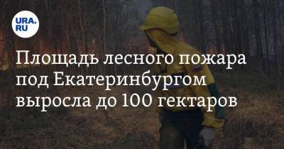 Площадь лесного пожара под Екатеринбургом выросла до 100 гектаров