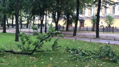 Один человек пострадал во время непогоды в Петербурге