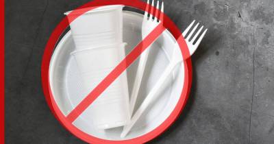 В России решили отказаться от пластиковой посуды и контейнеров для еды