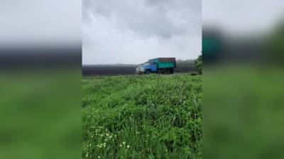 При выгрузке зерна в поле в Воронежской области грузовик раздавил рабочего