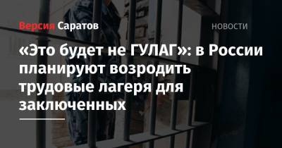 «Это будет не ГУЛАГ»: в России планируют возродить трудовые лагеря для заключенных