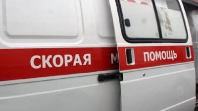 В Алтайском крае в ДТП со «скорой» погиб фельдшер