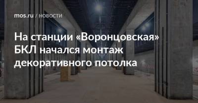 На станции «Воронцовская» БКЛ начался монтаж декоративного потолка