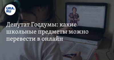 Депутат Госдумы: какие школьные предметы можно перевести в онлайн