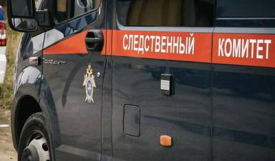 Следственный комитет России взял на контроль аварию в Салавате с сыном депутата