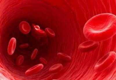 Названы самые действенные продукты для очищения крови
